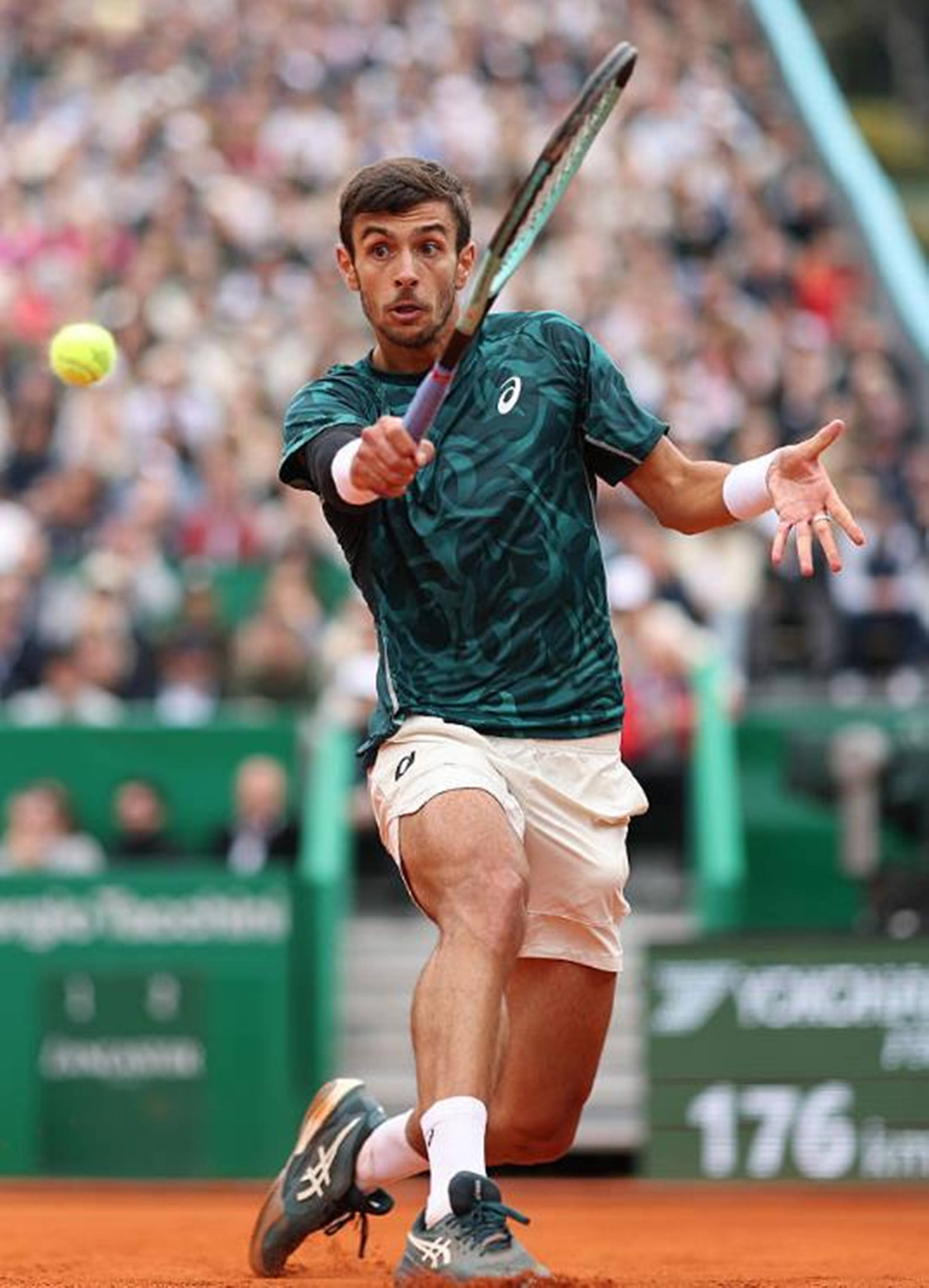 再度绽放 再度绽放